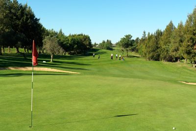 Pestana Golf Clubs